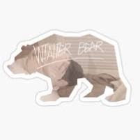Winter Bear Café ʕ •ᴥ• ʔ - discord server icon