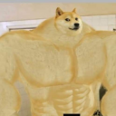 Dino's Doge's Nightclub - discord server icon