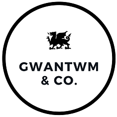 Gwantwm Projects - discord server icon