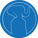 Stereotyped Elephant World - discord server icon