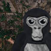 Gorilla Man's server - discord server icon