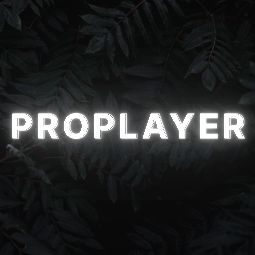 ⨘ Pro Players Lounge ⨘ - discord server icon