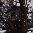 The Melody Treehouse - discord server icon