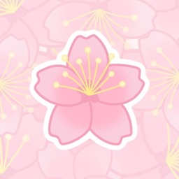 ‧₊˚ ⟣❀ 𝖲𝖺𝗄𝗎𝗋𝖺 𝖢𝗈𝗆𝗆𝗎𝗇𝗂𝗍𝗒 ❀⟢‧₊˚ - discord server icon