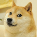 DOGE COMMUNITY - discord server icon