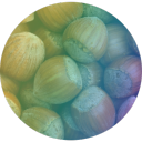 Rainbow Hazelnut's Music - discord server icon