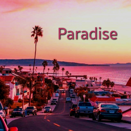 Paradise - discord server icon