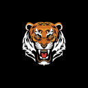 Tiger Cave Community - discord server icon