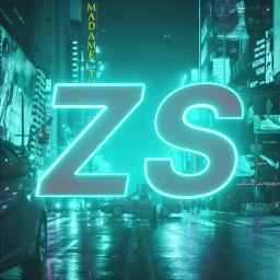 ZS - discord server icon
