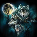 Wolf Family - discord server icon