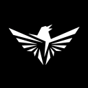 White Raven Adventuring Guild [D&D RP] - discord server icon
