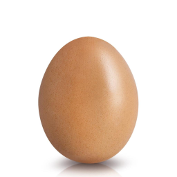The Scrambled Egg Society - discord server icon