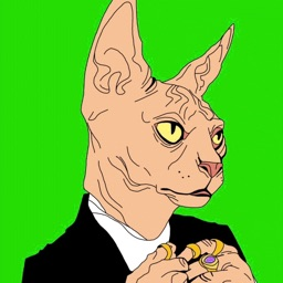 BACC Family - discord server icon