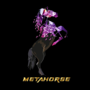 METAHORSE[OFFICIAL] - discord server icon