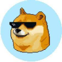 DogeCoin Stonks - discord server icon