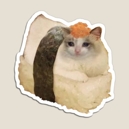 Cat Sushi - discord server icon
