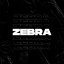 Zebra - discord server icon
