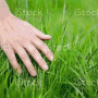 Grass Exists - discord server icon