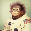 Monke Space Station 🦍 - discord server icon