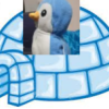 Penguin's Iglo - discord server icon