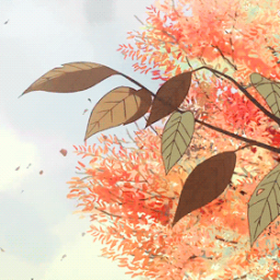 ꒰ Serenity Falls ꒱ - discord server icon