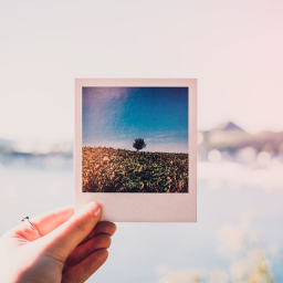 Polaroid FR - discord server icon