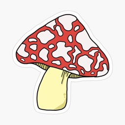 𝔪𝔢𝔩𝔩𝔬𝔴𝔩𝔞𝔫𝔡🍄🍃 - discord server icon
