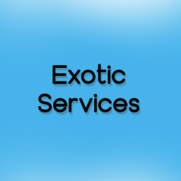 Exotic Services - discord server icon