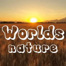 Worlds nature - discord server icon