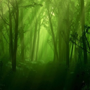 The Interdimensional Forest - discord server icon