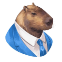 Capybara Gang - discord server icon