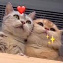 ♡ Kittens ♡ - discord server icon