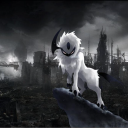 Absol Promo - discord server icon