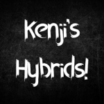 Kenji's Hybrids! - discord server icon