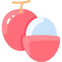 lychee support - discord server icon